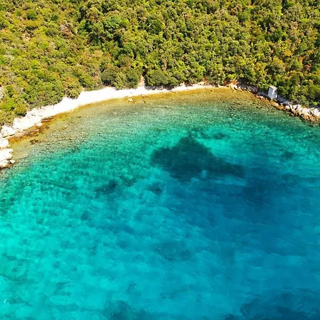 Sea Breeze - Beachfront *