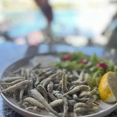 Sea Breeze - Beachfront Lejlighed