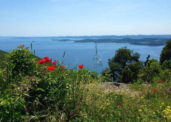 Sea Breeze - Beachfront *